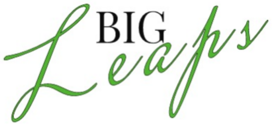 BigLeaps Consulting